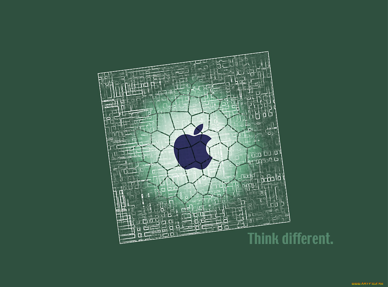 , apple